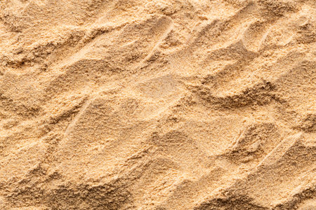 Heap of dried Peruvian maca powder.の写真素材