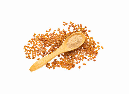 Fenugreek seeds and powder in a spoon - Methi Danaの写真素材