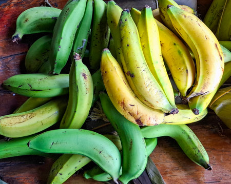 Close-up of a group of green and ripe bananas on a rustic wooden surface - Musa x paradisiacaの写真素材