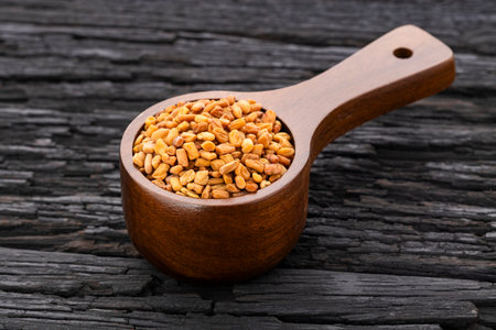 Dried, organic fenugreek seeds in a measuring spoon - Methi Danaの写真素材