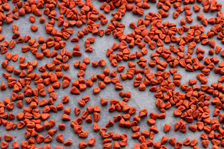 Organic, dried, raw, red Bixa Orellana seeds - Achioteの写真素材