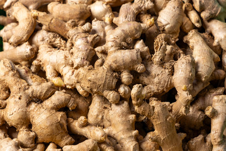 Many organic ginger roots in the Colombian peasant market square - Zingiber officinale