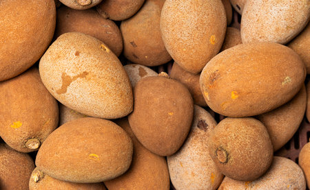 Stacked Pouteria sapota fruits, known as mamey sapote, with a brown, rough-textured peel.