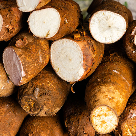 Cassava in the Colombian peasant market square - Manihot esculentaの写真素材