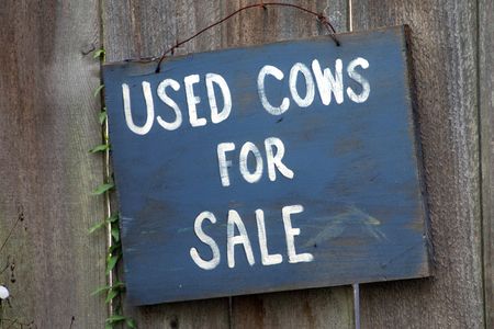 Novelty Sign Selling USed Cowsの写真素材