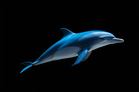 Dolphins in the air background is black pictureの素材