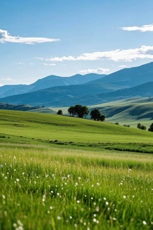 Pictures of meadows with trees and mountainsの素材
