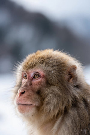 Look up at something a mountain pictureの素材