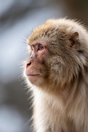 Look up at the picture of something with a blurred backgroundの素材