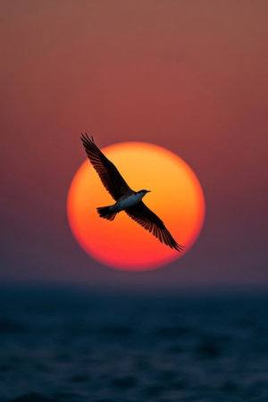 Bird flying in front of the sun at sunset Pictureの素材