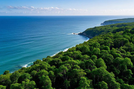 The tranquil beauty of the coastal forest, the green coast under the blue sea and blue skyの素材
