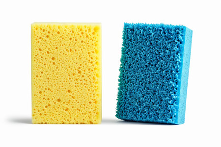The colorful world of clean sponges, the beauty of the details of absorbent spongesの素材