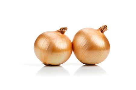 Golden round onions, delicious ingredients in the kitchenの素材