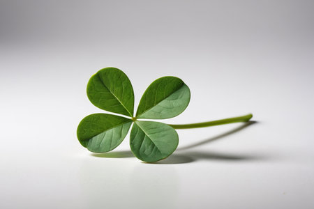 Clover Close-up Materialの素材