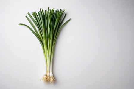 Scallion Still Life Close-upの素材