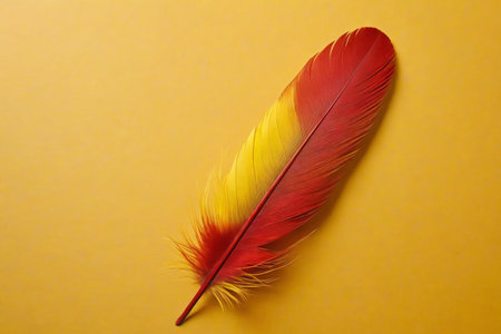 araffe feather on a yellow background with a red tipの素材