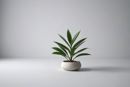 a close up of a plant in a white pot on a tableの素材