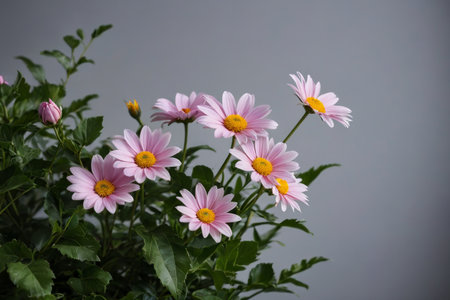 there are many pink flowers in a vase on a tableの素材