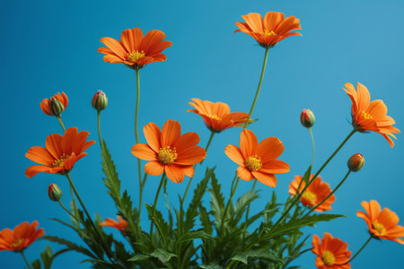 there are many orange flowers in a vase on a tableの素材