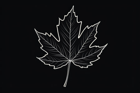 White maple leaf outline on black backgroundの素材
