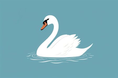 White swans swimming in the waterの素材