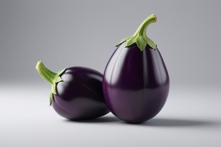 Close-up of two fresh eggplantsの素材