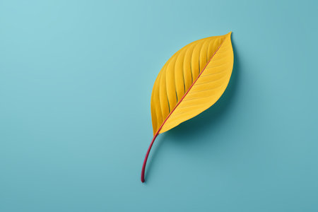 Yellow leaves on blue backgroundの素材