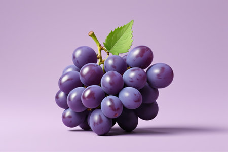 Close-up of purple grapesの素材
