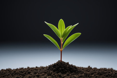 Young green plants breaking through the soilの素材