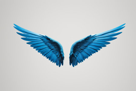 Blue wing design elementsの素材