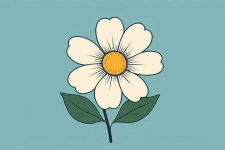 Hand drawn style white flower illustrationの素材