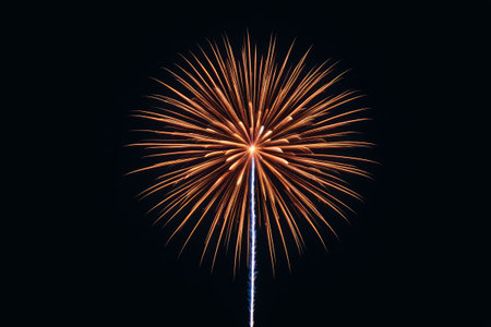 Fireworks in the night skyの素材