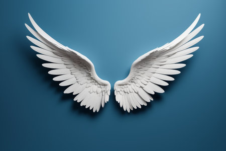 White Angel Wings Design Materialの素材