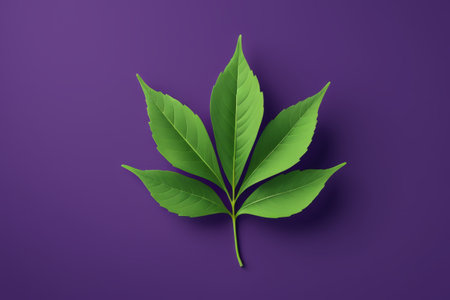Green plant leaves on a purple backgroundの素材