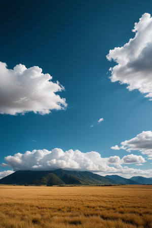 there is a large field with a mountain in the distanceの素材