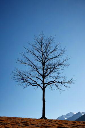 arafed tree in a field with mountains in the backgroundの素材