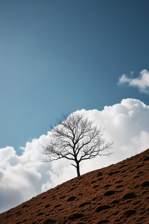 there is a lone tree on a hill with a blue sky in the backgroundの素材