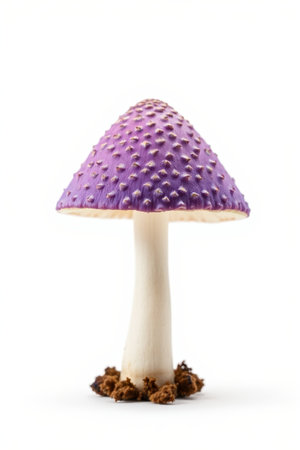 Purple Mushroom Close-up Materialの素材