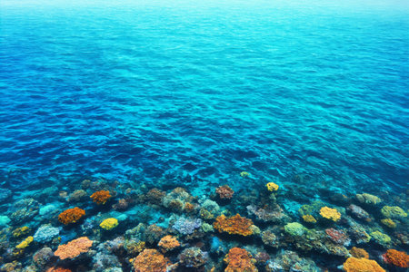 Aerial view of marine coral reefsの素材
