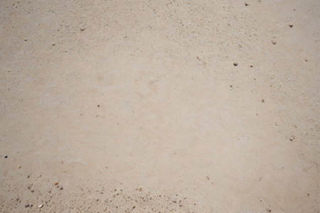 Light sand and gravel ground textureの素材