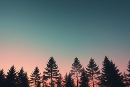 Forest tree skyline at duskの素材