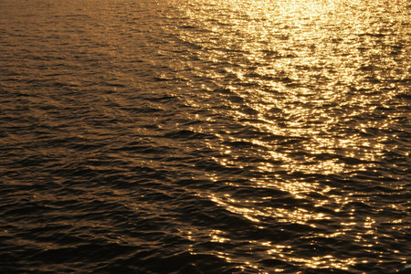 The sparkling sea at sunsetの素材