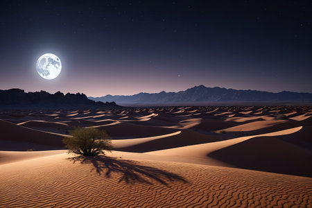 Panoramic view of the desert moonlit nightの素材