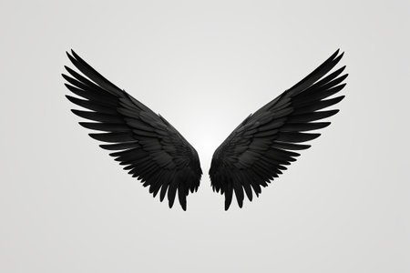 Black Wings Materialの素材