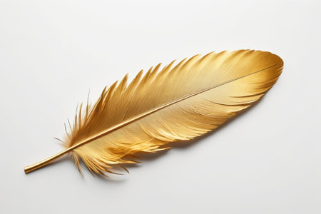 Golden Feather Close-up Materialの素材