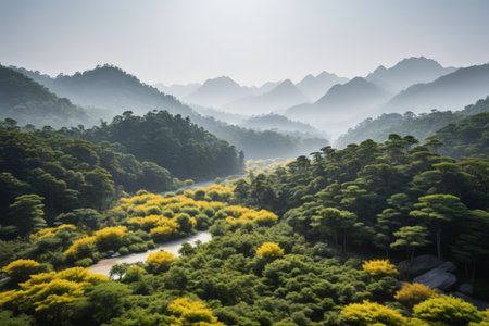 Mountain rivers and colorful vegetation landscapesの素材