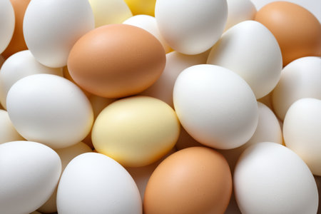 Multicolor egg close-upの素材