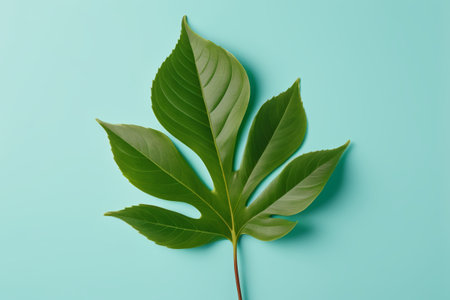 Green plant leaves on a blue backgroundの素材