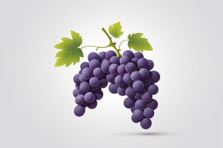 Close-up of purple grapes with green leavesの素材