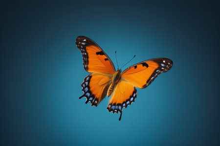 Orange Butterfly Close-up Materialの素材